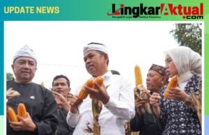 Hadiri Panen Jagung di Garut, Gubernur Dedi Mulyadi Dorong Penguatan Ekonomi Desa