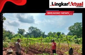 Ajak Warga Manfaatkan Pekarangan Rumah Untuk Tanam Sayuran, Wujud Polres Purwakarta Dukung Program Ketahanan Pangan