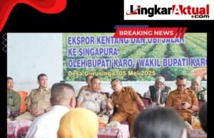 Wakil Bupati Karo Lepas Ekspor Kentang dan Ubi Jalar ke Singapura