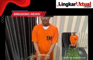 “Seorang Petani Tanam Ganja Di Ladang, Polres Karo Amankan Barang Bukti 2 Batang Pohon Ganja”