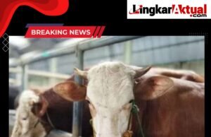 Jelang Idul Adha, DKPP Kota Bandung Terjunkan 90 Petugas dan Manfaatkan Teknologi Periksa Hewan Kurban