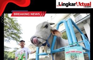 DKPP Targetkan Peningkatan Jumlah Pemeriksaan Hewan Kurban