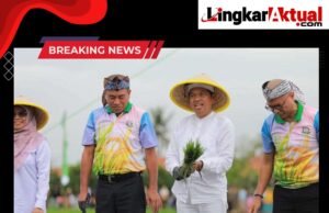 KDM Dukung Swasembada Pangan Lewat Penanaman Padi di Lahan Aset Negara