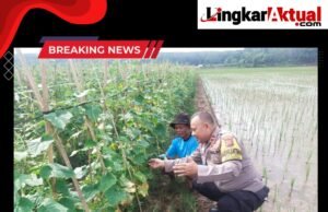 Sambang Kamtibmas Ke Petani, Cara Bhabinkamtibmas Polsek Campaka Dukung Asta Cita