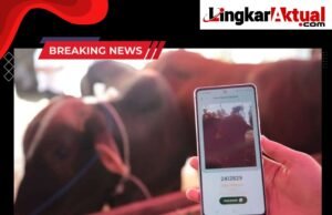 Pemeriksaan Hewan Kurban, DKPP Libatkan Tim Ahli dan Teknologi Digital