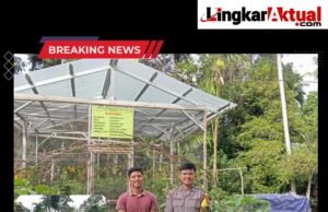 Polsek lolofitu Moi Melaksanakan kegiatan Penijauan Lahan Progam Ketahanan pangan