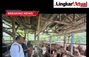 Bersama Disnakan, Polres Purwakarta Lakukan Pengecekan Kesehatan Hewan Kurban