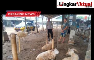 Cegah Pencurian Hewan Ternak Jelang Idul Adha, Polres Purwakarta Terus Ingatkan Para Pedagang