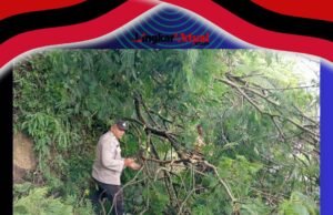 Respon Cepat Polsek Simpang Empat Atasi Ranting Pohon Timpa Jalan Akibat Angin Kencang