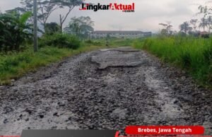 Jalan Poros Taraban–Pagojengan Rusak Parah, Warga dan Ormas Desak Pemkab Brebes Segera Bertindak