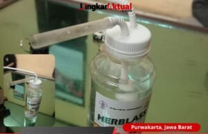 Sat Res Narkoba Polres Purwakarta Ringkus Pengguna Sabu, Satu Orang Perempuan Diamankan