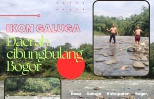 Desa Galuga Kabupaten Bogor, Keindahan Alam yang Menakjubkan di Kabupaten Bogor, Aliran Sungai yang Indah Membuat Mata Terpesona