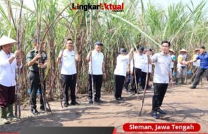 Panglima TNI Kawal Langsung Panen Tebu Untuk Swasembada Gula Nasional