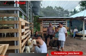 Dukung Progam Ketahanan Pangan, Polsek Plered Sambangi Peternak Domba