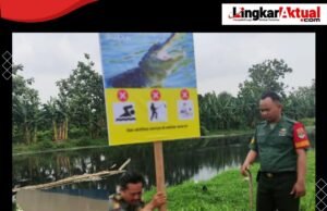 Viral…!!! ,Buaya Muncul Di Kali Bekasi Babelan Jurusan Kali Cikarang, Petugas Langsung Pasang Papan Himbauan