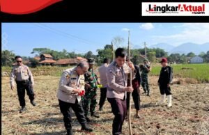 Wujud Dukungan Untuk Ketahanan Pangan, Polres Purwakarta Tanam Jagung Di Tegalwaru
