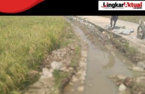 Waduh…!!! Diduga Demi Meraup Keuntungan Lebih, Proyek Irigasi P3-TGAI Desa Sukarapih Memakai Batu Bekas