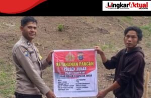 Polsek Juhar Dorong Ketahanan Pangan, Bhabinkamtibmas Tanam Jagung di Lahan Binaan