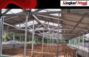 BUMDes SAPTA RASA Desa Karang Mukti Kecamatan Karang Bahagia Siap Tingkatkan Pendapatan Asli Desa