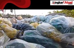 Limbah Plastik di Bantaran Kali Pulo Sirih Diduga Milik “(H.Azis) Tepatnya di Wilayah Desa Sukajadi Diduga Mencemari Lahan Pertanian