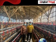 DANO SUMARNO: Harapkan Program Ketahanan Pangan Desa Sukaraya Tingkatkan PADes