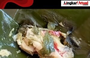 Diduga Kepala BGN Lalai Dalam Penegakkan SOP Dan Pengawasan Diprogram MBG, “Ayam Pepes Ada Belatung, Karawang Jadi Sorotan Publik Nasional