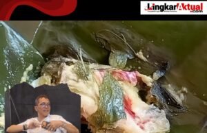 Dapur MBG Disorot, Asep Agustian Angkat Bicara: Jangan Jadikan Program Presiden Ladang Bisnis Para Oknum