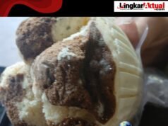 Bolu MBG Berjamur di SDN Sukamakmur 3, Penggantian Biskuit Diduga Langgar Aturan Gizi Nasional