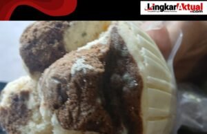 Bolu MBG Berjamur di SDN Sukamakmur 3, Penggantian Biskuit Diduga Langgar Aturan Gizi Nasional