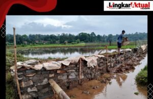 Proyek Drainase di Wilayah Situ BBWS Sumbersari Diduga Proyek Siluman, Tak Ada Papan Informasi Kegiatan Menuai Sorotan Publik