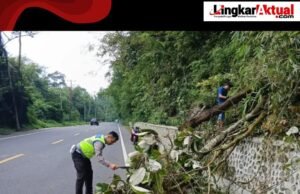 Sat Lantas Polres Tanah Karo Evakuasi Kayu Tumbang di Jalan Jamin Ginting Doulu
