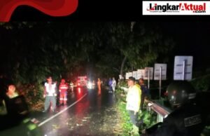 Pohon Tumbang di Jalan Cagak Subang, Tutup Badan Jalan Tiga Pengendara Motor Luka-luka, Polisi Segera Bantu Evakuasi