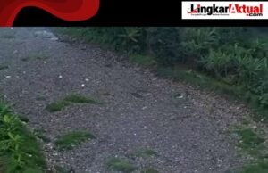 Masyarakat Diimbau Tidak Buang Sampah ke Sungai