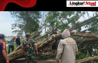 Pohon Tumbang Akibat Angin Kencang, Arus Lalu Lintas di Karangpatri Tersendat