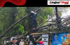 Polisi Bersama Warga Evakuasi Pohon Tumbang Pasca Hujan