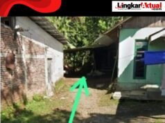 Peredaran Obat Daftar G di Mrebet Diduga Kebal Hukum, Warga Sudah Lapor ke Lapor Masbup dan APH, Namun Belum Ada Respon