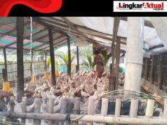 Warga Kp. Cambay Desa Jatibaru Keluhkan Adanya Kandang Bebek di Tengah Permukiman, Bau Menyengat Menggangu Merusak Lingkungan