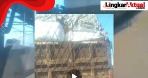 Meski Telah di Segel Resmi Oleh DLHK, Tempat Pembuangan Sampah Ilegal Kini Masih Terlihat Beraktifitas