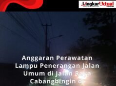 Anggaran Perawatan Lampu Penerangan Jalan Umum di Jalan Raya Cabangbungin Tepatnya Kp. Garon di Pertanyakan