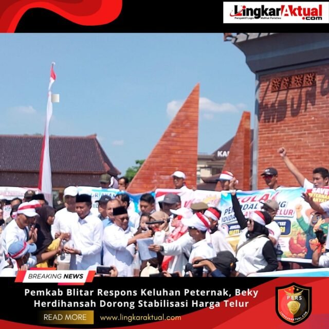 IMG-20260602-WA0006