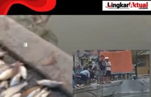 Warga Karawang Resah, Ikan Mati Massal di Tanggul Johar Diduga Akibat Pencemaran Air