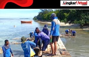 Pemasangan Kubus Masif di Pulau Payung Capai Progres 80 Persen
