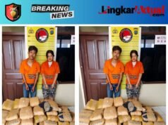 Warga Deli Serdang Nyangkut di Taput Setelah Bawa 112 Paket Ganja