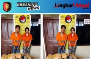 Warga Deli Serdang Nyangkut di Taput Setelah Bawa 112 Paket Ganja