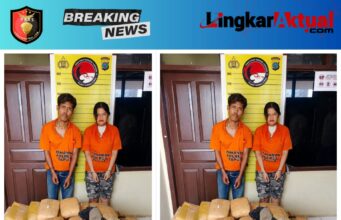 Warga Deli Serdang Nyangkut di Taput Setelah Bawa 112 Paket Ganja