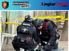 Bersihkan Rumah Mendiang Ayah, Warga Sutojayan Temukan Diduga Granat Nanas, Tim Gegana Lakukan Disposal
