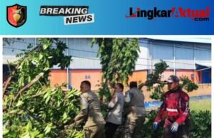 Sinergi Tanggap Bencana, Polisi Evakuasi Pohon Tumbang di Jalan Raya Cirebon- Bandung