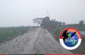 DPD IWO Indonesia Kabupaten Bekasi Soroti Jalan Rusak Parah di Ruas Sukahurip–Tambelang, Desak Pemkab Segera Bertindak