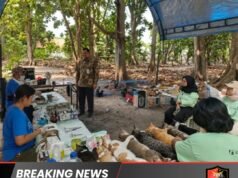 KEPULAUAN SERIBU KENDALIKAN POPULASI KUCING DENGAN STERILISASI HUMANIS
