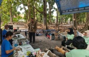 KEPULAUAN SERIBU KENDALIKAN POPULASI KUCING DENGAN STERILISASI HUMANIS